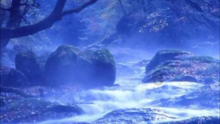 深度探索这个方程式怎么配平啊?,知识星球平台助您更上一层楼!